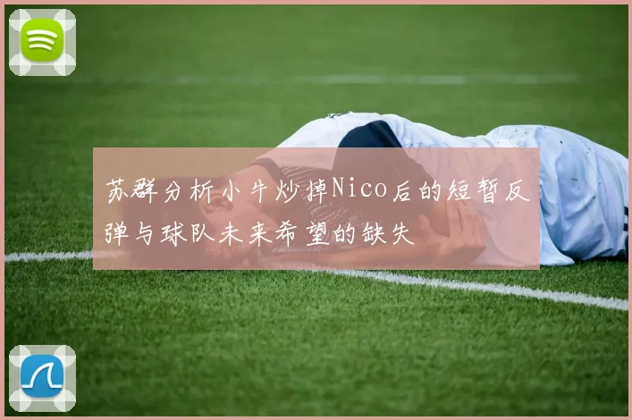 苏群分析小牛炒掉Nico后的短暂反弹与球队未来希望的缺失