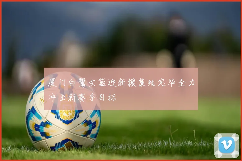 厦门白鹭女篮迎新援集结完毕全力冲击新赛季目标